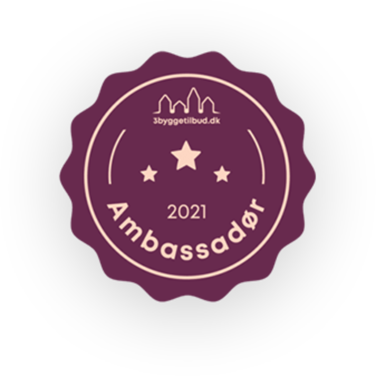 2021 ambassadør
